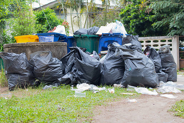 Basement Cleanout Services in Boron, CA